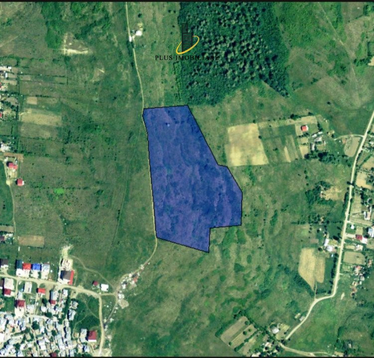 Teren intravilan Hlincea, 3,3 ha, plata in rate