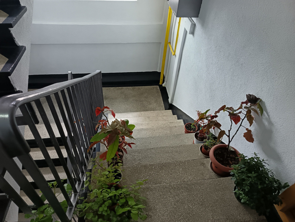 APARTAMENT 3 CAM, DECOMANDAT,COMPLET MOBILAT SI UTILAT,PET FRIENDLY