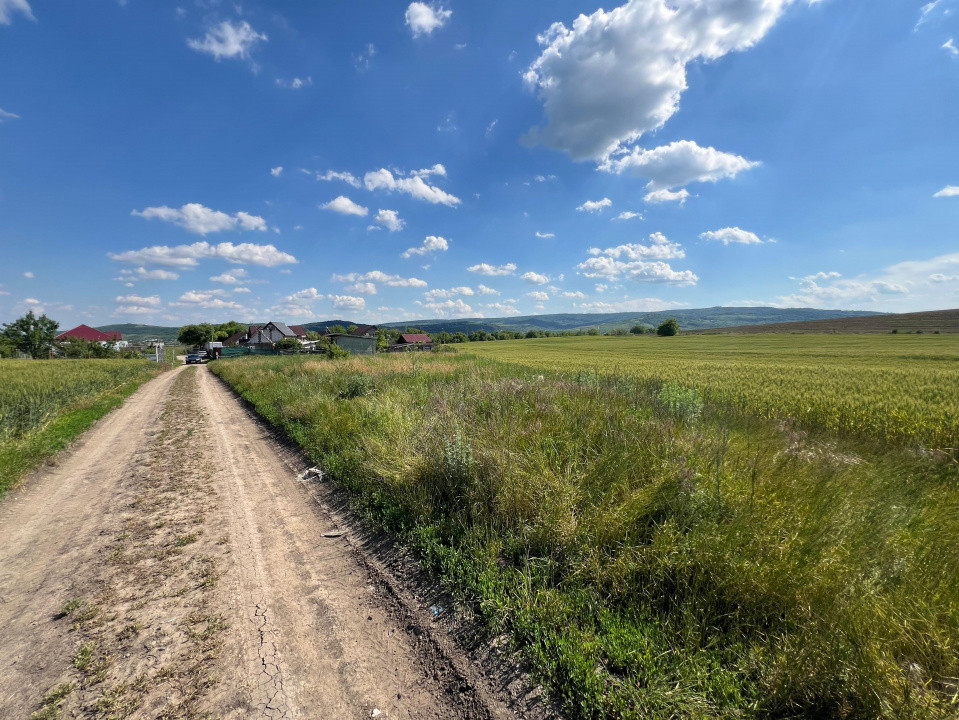 Teren Intravilan Holboca langa strada principala