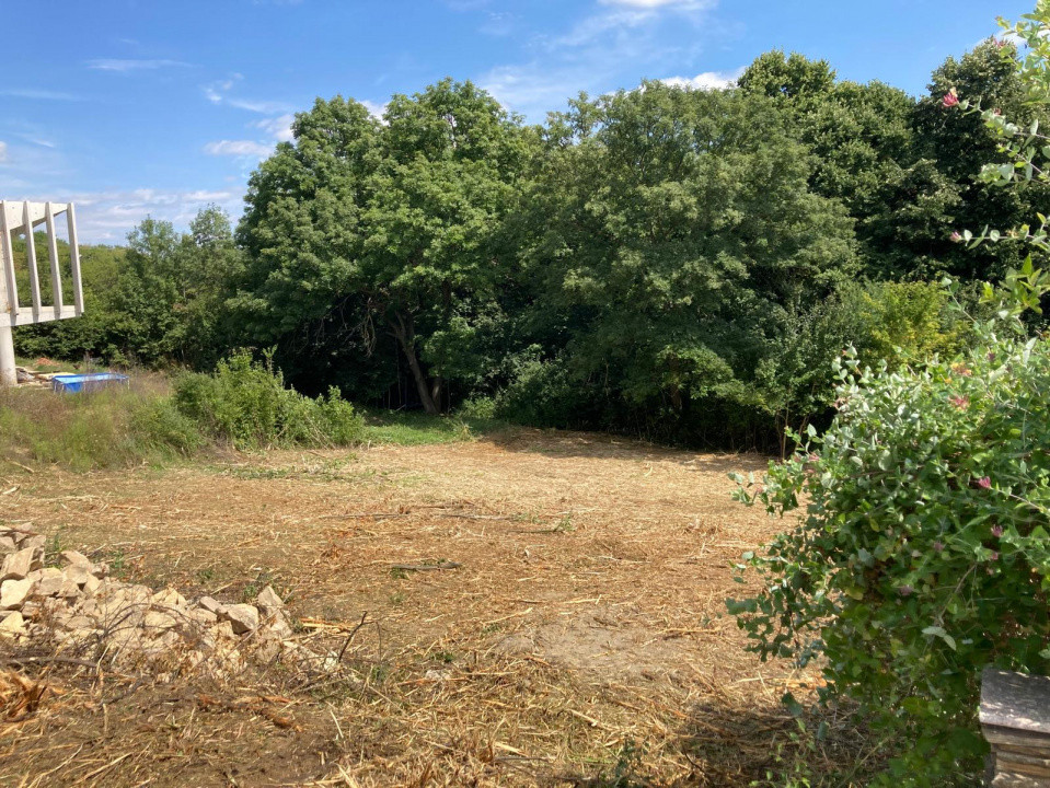 TEREN INTRAVILAN 1000 MP, BUCIUM- BARNOVA, DESCHIDERE LA DRUM 23 M