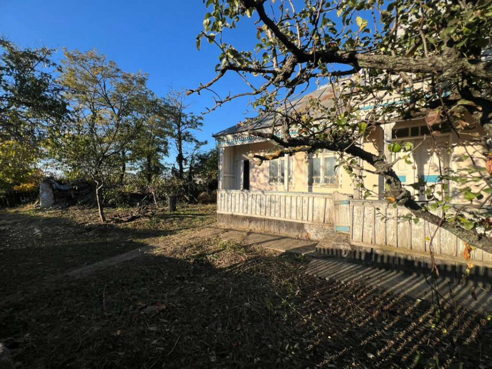 Casa strada principala 650m Horlesti Rediu