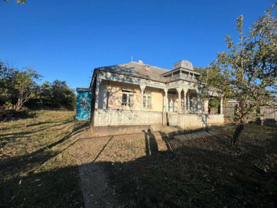 Casa strada principala 650m Horlesti Rediu