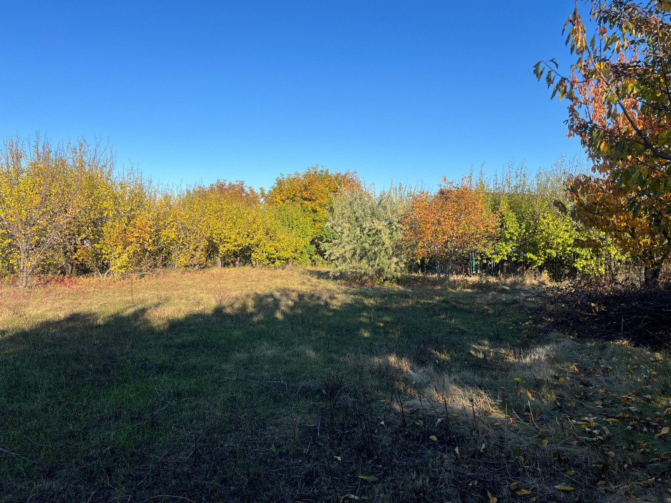 Teren constructie 800mp Rediu Horlesti