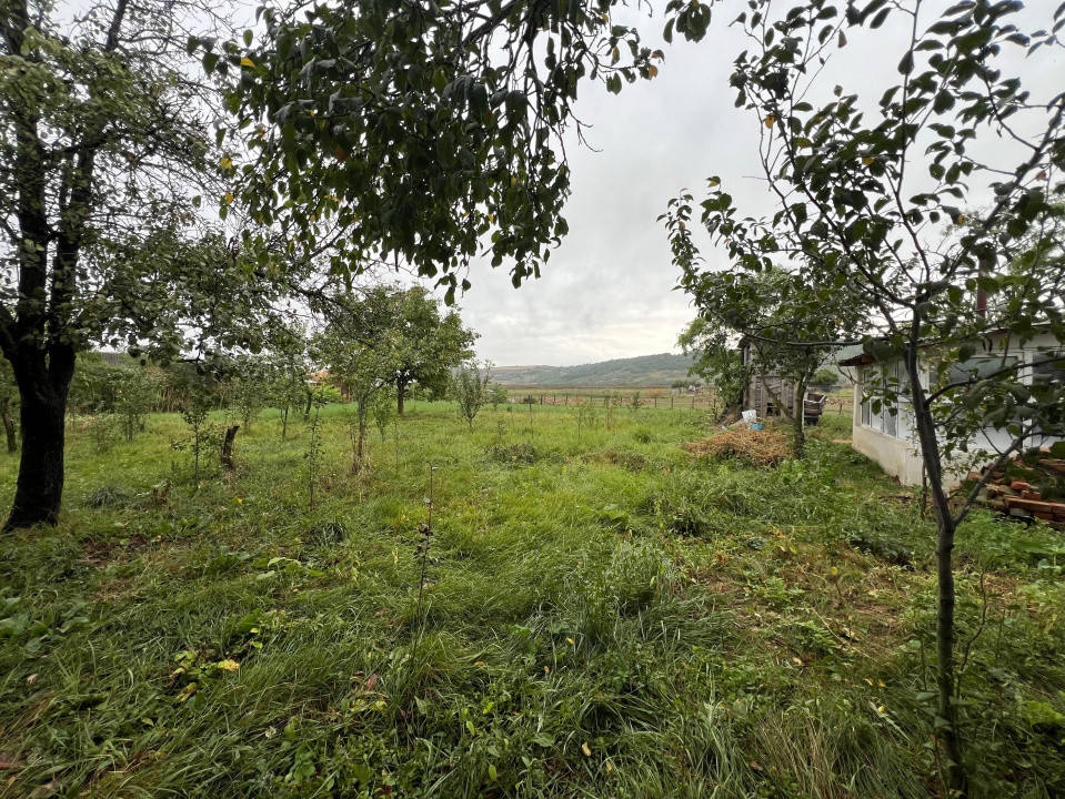 Erbiceni Podu Iloaiei teren 1300 mp utilitati Intravilan 