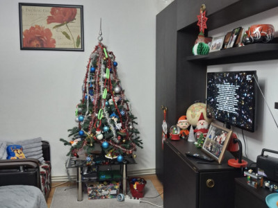 Apartament 2 camere Pacurari 