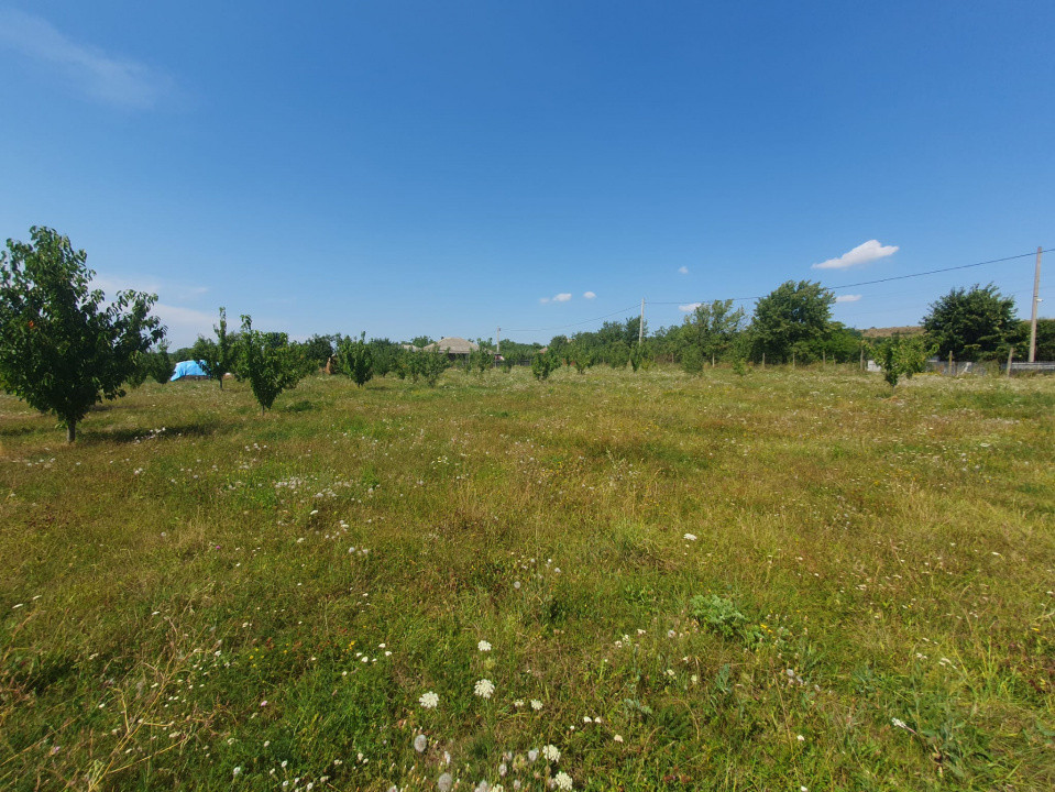 Casa  moderna mobilata cu beci 165mp +3000mp teren Cotnari