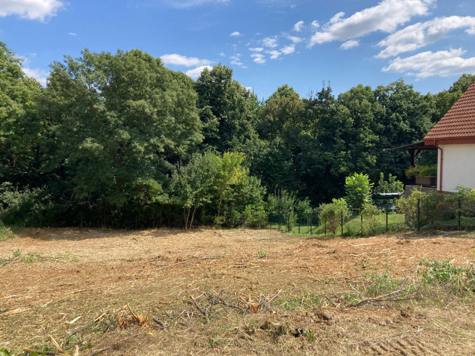 TEREN INTRAVILAN 1060 MP, BUCIUM- BARNOVA, DESCHIDERE LA DRUM 23 M