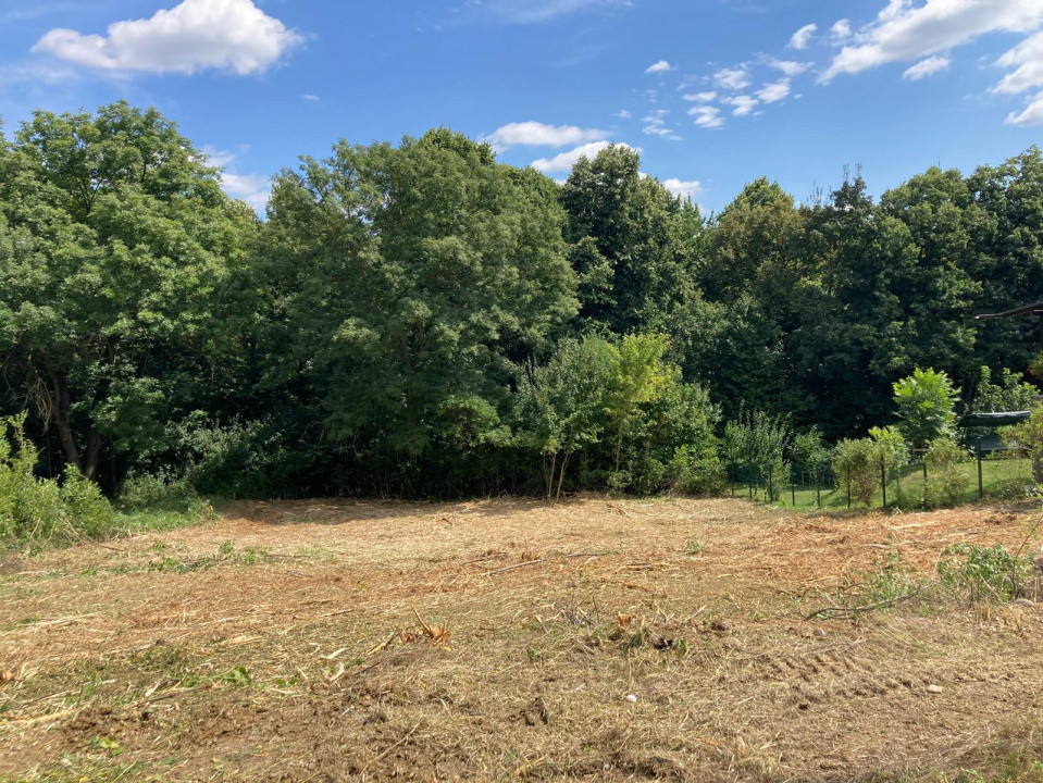 TEREN INTRAVILAN 1060 MP, BUCIUM- BARNOVA, DESCHIDERE LA DRUM 23 M