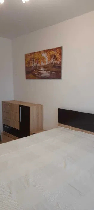 APARTAMENT 2 CAMERE DECOMANDAT, PACURARI, PISICA FRIENDLY