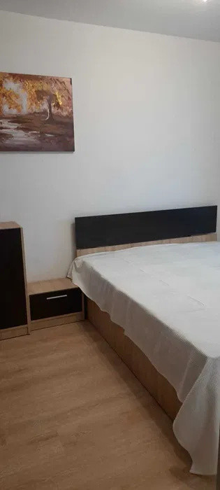 APARTAMENT 2 CAMERE DECOMANDAT, PACURARI, PISICA FRIENDLY