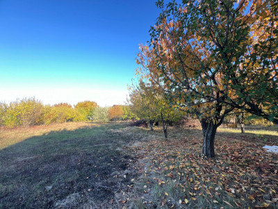 Teren constructie intravilan 880mp Rediu Horlesti