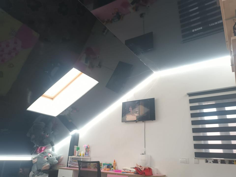 Casa 4 camere 750mp mobilata Rediu-Horlesti 