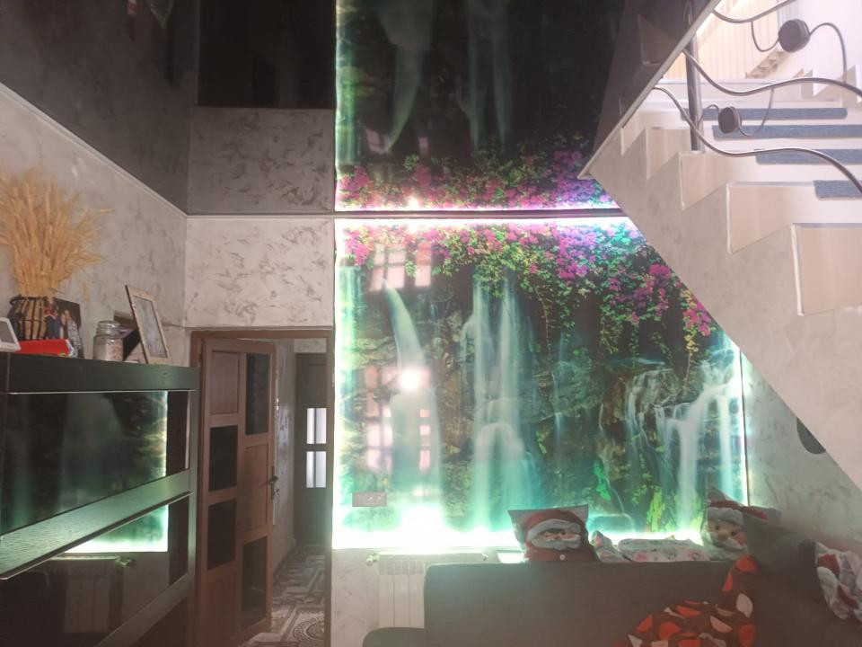 Casa 4 camere 750mp mobilata Rediu-Horlesti 