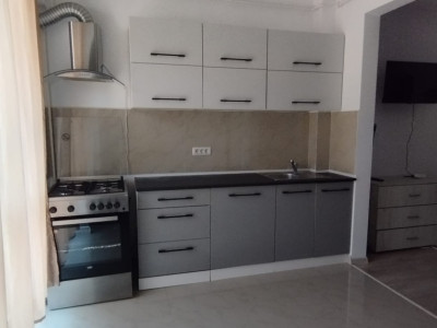 APARTAMENT 2 CAMERE, PARTER, PET FRIENDLY, PARCARE, POPAS PACURARI