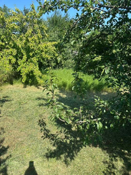 Casă cu teren de 5.700 mp, Pădureni,se accepta si schimb cu apt in Iasi