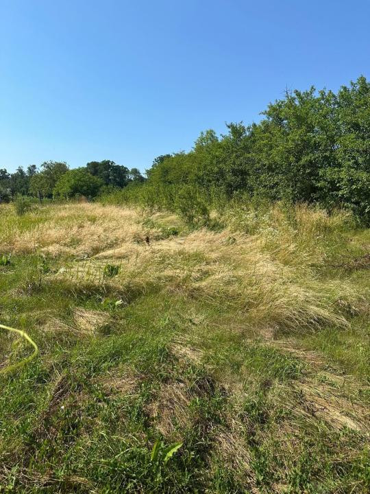 Casă cu teren de 5.700 mp, Pădureni,se accepta si schimb cu apt in Iasi