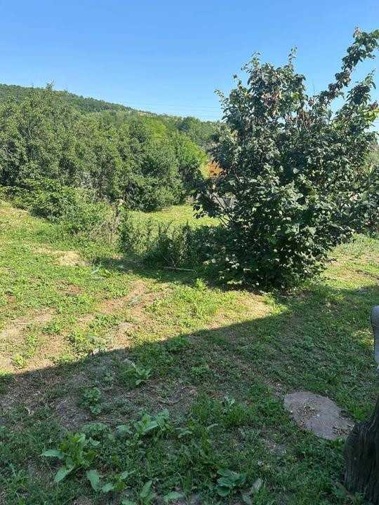 Casă cu teren de 5.700 mp, Pădureni,se accepta si schimb cu apt in Iasi