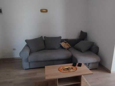 APARTAMENT 2 CAMERE, PARTER, PET FRIENDLY, PARCARE, POPAS PACURARI