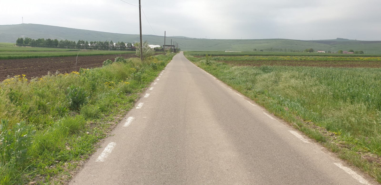 TEREN EXTRAVILAN, LOCALIATEA DUMESTI, 20000 MP