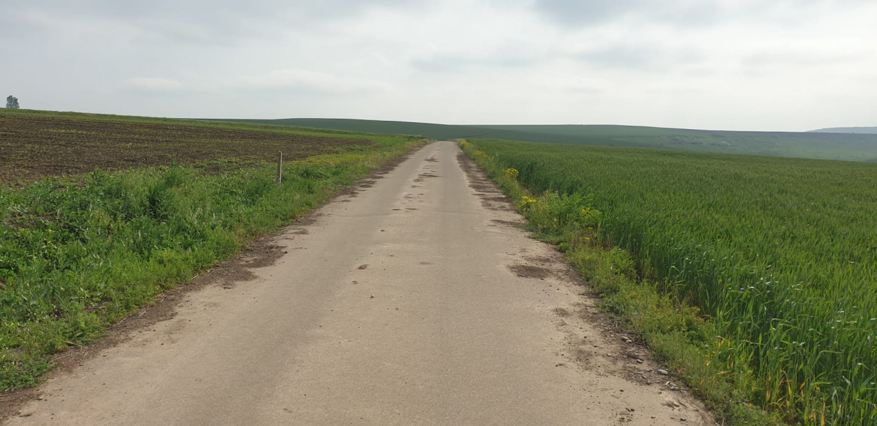 TEREN EXTRAVILAN, LOCALIATEA DUMESTI, 20000 MP