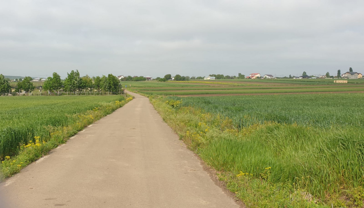 TEREN EXTRAVILAN, LOCALIATEA DUMESTI, 20000 MP