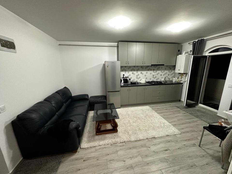 Apartament 2 camere mobilat Pacurari Kaufland - Contemporan 