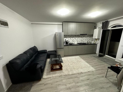 Apartament 2 camere mobilat Pacurari Kaufland - Contemporan 