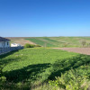 Teren constructie intravilan 1000mp Rediu Horlesti