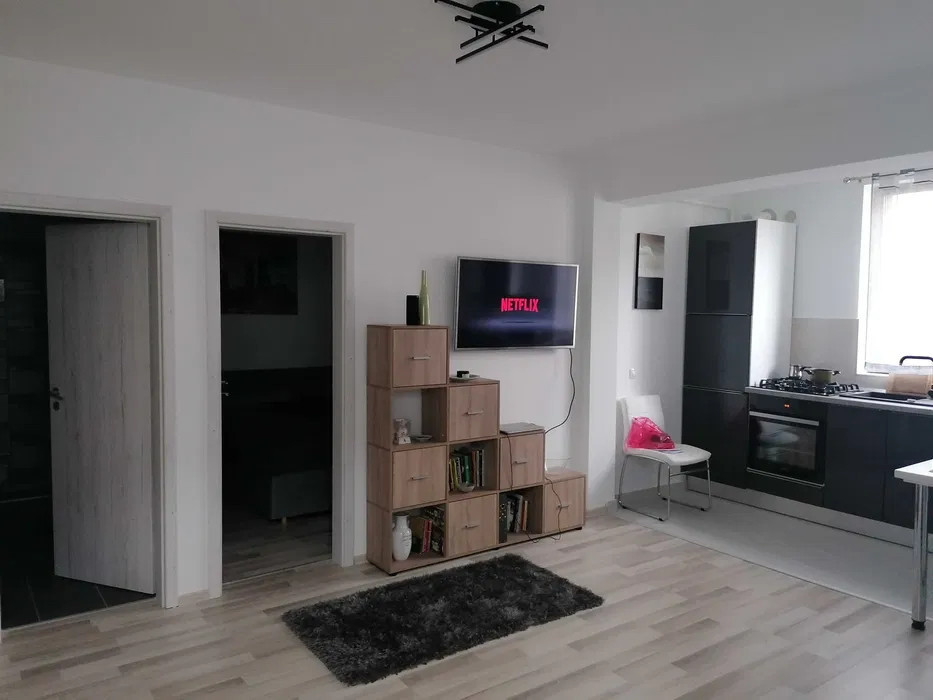 APARTAMENT 2 CAMERE, MOBILAT SI UTILAT, BLOC NOU, POPAS PACURARI