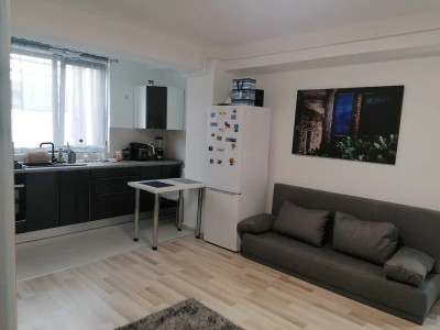 APARTAMENT 2 CAMERE, MOBILAT SI UTILAT, BLOC NOU, POPAS PACURARI