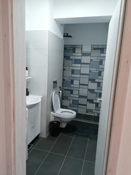 APARTAMENT 2 CAMERE, MOBILAT SI UTILAT, BLOC NOU, POPAS PACURARI